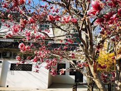 -丽泽山庄·生态怀柔菜·虹鳟鱼(红螺寺店)