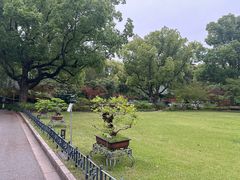 -申粤轩酒楼·三十年粤菜经典(丁香花园店)
