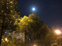 -滨江攀岩