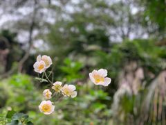 -龙窝子