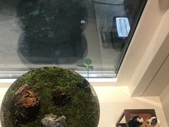 -上海虹桥迎宾馆