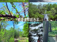 -黑龙江省森林植物园