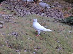 -泉州海丝野生动物世界