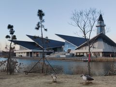 -盐城丹顶鹤湿地生态旅游区