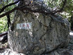 -阳台山自然风景区