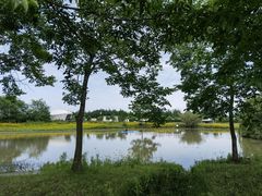 -金谷域澳洲庄园