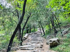 -阳台山自然风景区