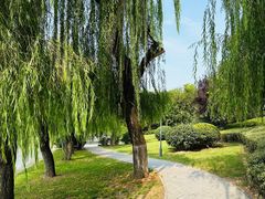 -云龙湖旅游景区