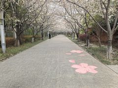 -高东镇樱花园