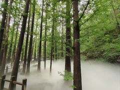 -北京植物园南门售票处