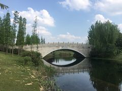 -眉山湿地公园(东坡区)