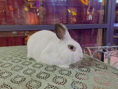 -一个叫川的地方(麒麟新天地店)