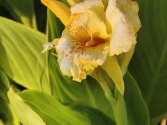 -长沙滨江文化园