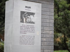 -神仙树公园