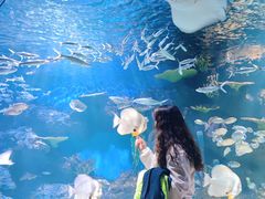 -华夏文旅海洋公园