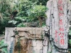-广州市流溪河国家森林公园