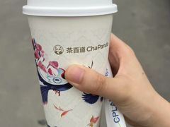 -茶百道(友好店)