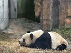 -大连森林动物园