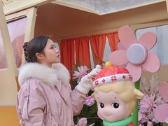 -金茂览秀城
