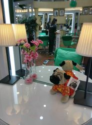 -艺米阳光Hair Salon