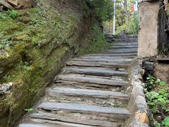 -南窖乡水峪村山情农家