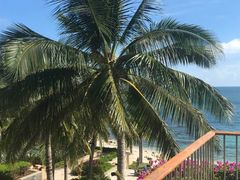 -日落吧·海景咖啡厅·餐酒吧·鸡尾酒·下午茶·乐队表演·浪漫夕阳·三亚文华东方酒店
