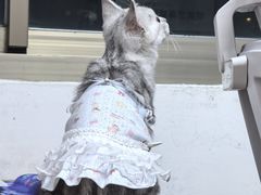 -御宝贝24h宠物医院·转诊中心·CT核磁血透中心(厦门总院)