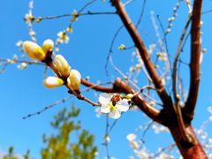 -北京雁栖湖国际会展中心