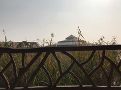 -乌村