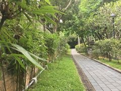 -九龙寨城公园
