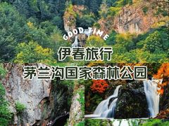 -茅兰沟国家森林公园