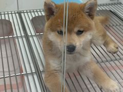 -龙湖重庆时代天街