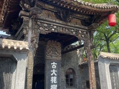 -大槐树寻根祭祖园