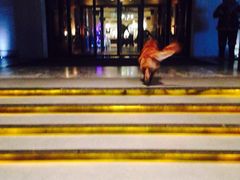 -月亮河温泉度假酒店