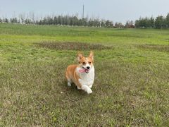 -滆湖低碳生态公园