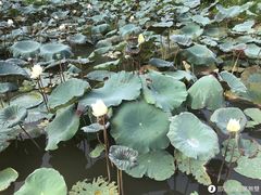 -广州市紫泥堂文化创意园景区