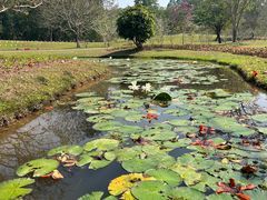 -中国科学院西双版纳热带植物园