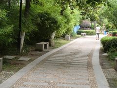 景点-郑和公园