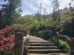-木兰云雾山