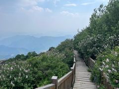 -白草畔自然风景区