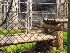 -合肥野生动物园