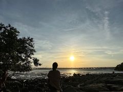 -宝安西湾红树林湿地公园