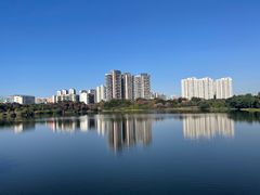 -广东花都湖国家湿地公园