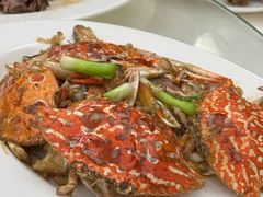 -日日香卤鹅饭店·澄海狮头鹅(澄海店)