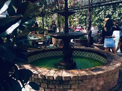 -The Grounds of Alexandria