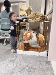 -奈尔宝·儿童乐园·亲子餐厅(华采天地店)