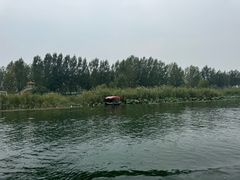 -白洋淀景区