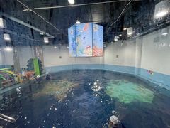-蓝旗游泳·青训·亲子水域中心(方庄中心)