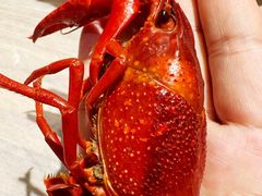 -李叔叔小龙虾香辣蟹(青羊店)