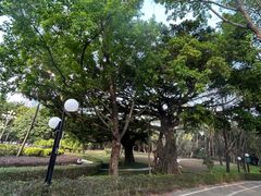 -荔香公园